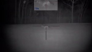 Pulsar N355 ultra digital night vision Coyote night hunting with hog sniper 66 LRX IR light.