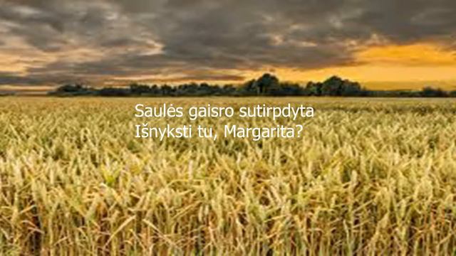 Rondo - Margarita. Žodžiai. смотреть онлайн