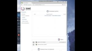 Как включить флеш в Chrome на Windows