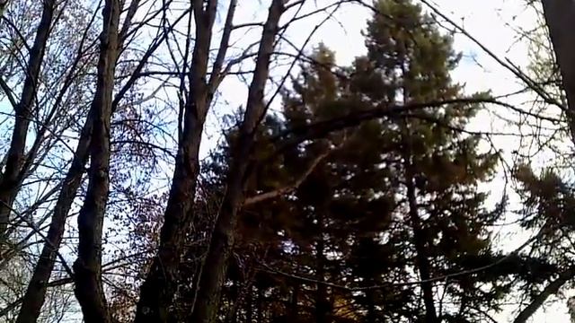 Самые красивые парки мира смотреть онлайн