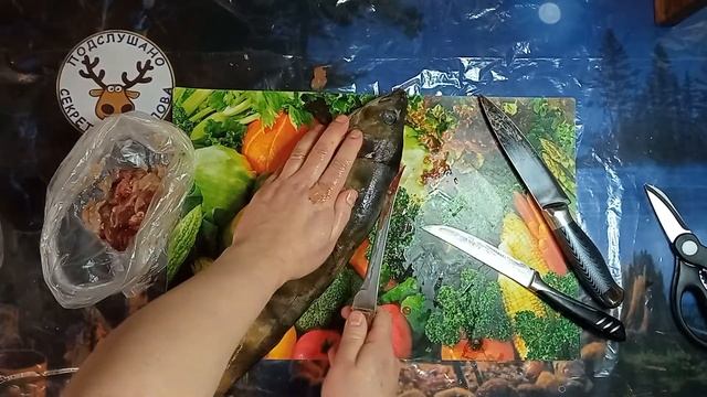 Разделываю разные виды рыб для холодного копчения. Скумбрию не потрошу, судак, терпуг