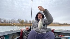 Рыбалка Осенью на Фидер просто Класс река Дон