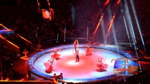 Цирк на Вернадского