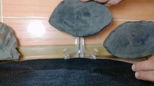 Распродажа окаменелое дерево, отпечатки листьев. 05.08.2021.