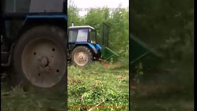 Расчистка заросших полей и лесополос