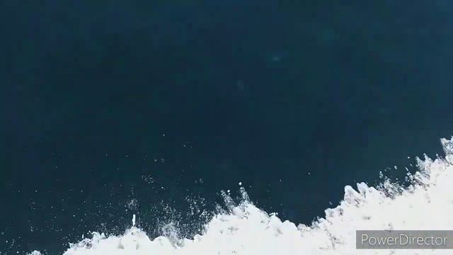 Да Я Так Живу в Турции Наслаждаясь Жизнью и У меня Круто  Получается