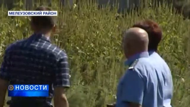 В Башкортостане растёт трава, способная погубить урожай смотреть онлайн