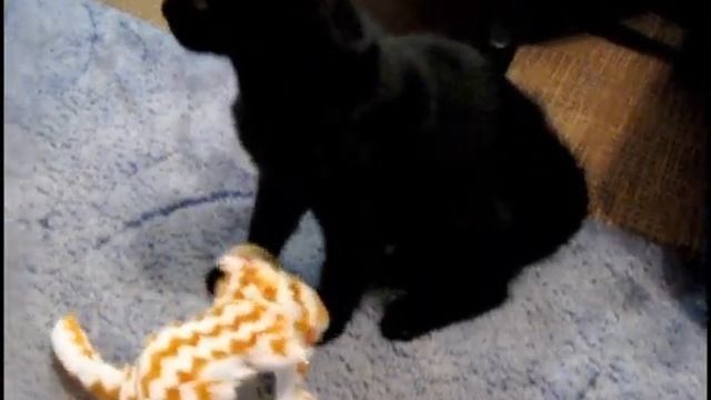 Нафаня и Мироха 8. Новая игрушка смотреть онлайн