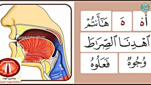 Махрадж букв. Урок №1. "ХАМЗА" ء и "ХА" هـ