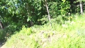 Дмитрий Гаврилкин   Прогулка По Заброшенным Огородам На Завьялово г  Чайковский История Песни Забро