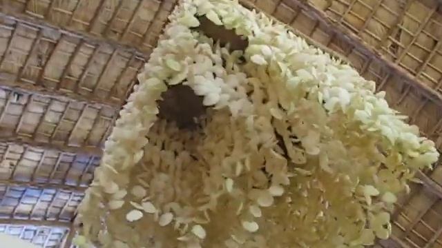 Ракушки смотреть онлайн