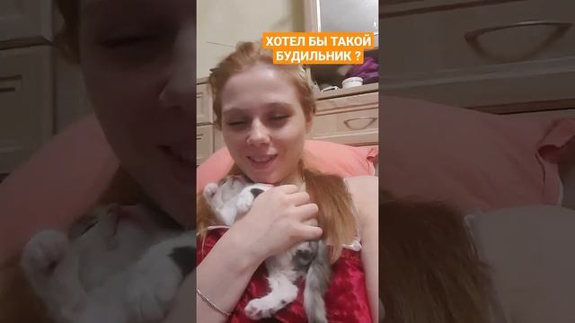 У котят когти всегда острее, чем у взрослых. Боишься царапин? Малышей нельзя #shorts