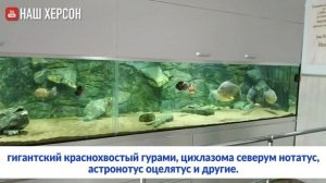 Самый большой аквариум в Херсоне