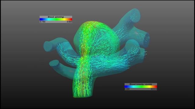 Невероятных фактов о теле человека | Мир интересных фактов смотреть онлайн