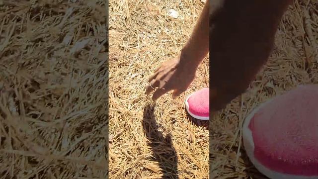 Happy Monday. Welcome To MY Therapy. ?? #ValBeLearning #Loblolly смотреть онлайн