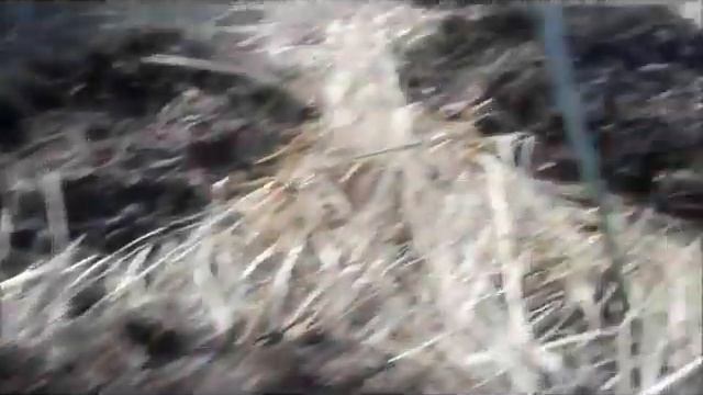 28 04 14 ПОСАДКА ОГУРЦОВ смотреть онлайн