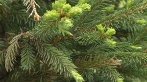 Видеокамера Панасоник hc-v760 на что способна в 2023 году