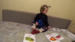 Игра в Карточки Домана, познаем мир, учимся читать. Методика Домана. Вундеркинд с пеленок