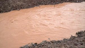 Кто в Томи воду мутит?