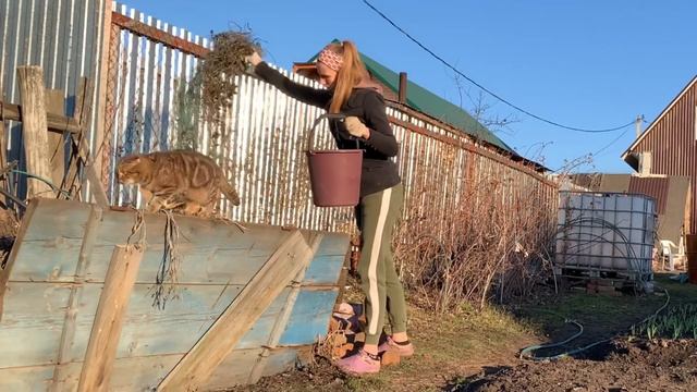 ВЛОГ: ЗАНИМАЮСЬ ДОМАШНИМИ ДЕЛАМИ / ВЕСЕННЯЯ УБОРКА ВО ДВОРЕ ДОМА / МУЖ САЖАЕТ ЕЖЕМАЛИНУ