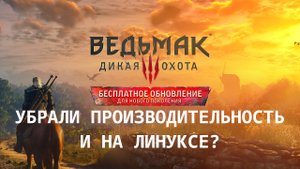 Witcher 3 v4.0 Linux - Зачем трогали dx11...