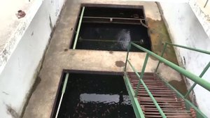 TRAS LA HUELLA DEL PESCADO II, ACUICULTURA EN FORMA DE GESTIÓN NO ESTATAL
