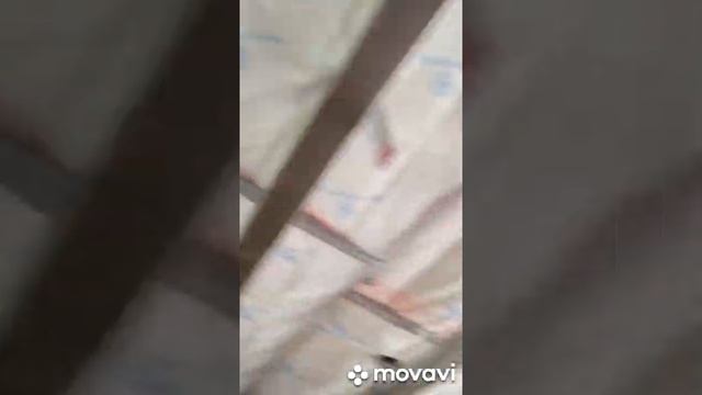 шумка4.mp4