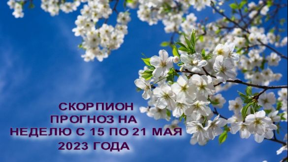 СКОРПИОН ПРОГНОЗ НА НЕДЕЛЮ С 15 ПО 21 МАЯ 2023 ГОДА