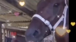 доброе утро моя девочка