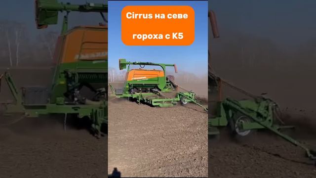 Cirrus на севе гороха с К5 #amazone #cirrus #k5 #seeder