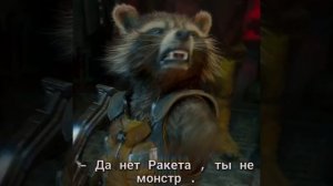 енот Ракета и его грустная история