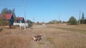 Из Рождественно в Подгоры. Самарская Лука.