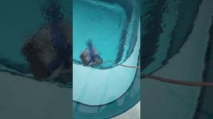 Hayward TigerShark 2. Робот-пылесос для бассейнов.