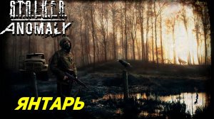 ЯНТАРЬ ➤ S.T.A.L.K.E.R. Anomaly #9