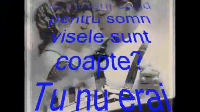 tango in harlem смотреть онлайн