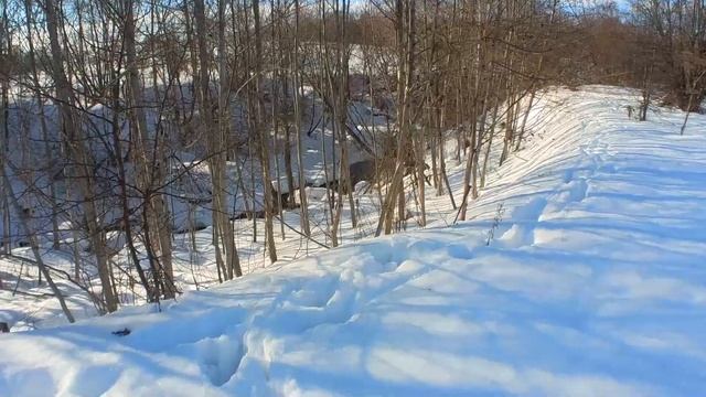 На лыжах по лосиным следам смотреть онлайн