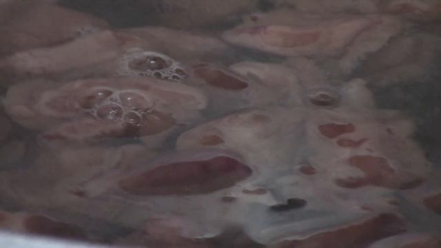 Солим грибы. Маслята. (очень просто и вкусно!). Fungus. смотреть онлайн