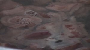 Солим грибы. Маслята. (очень просто и вкусно!). Fungus.