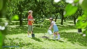 Реклама Сады Придонья