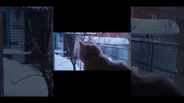 Котэки