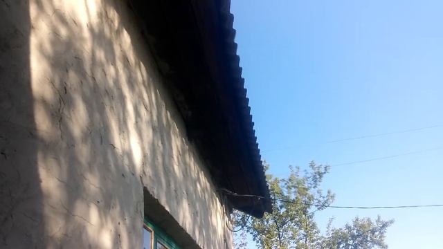 Ласточки прилетели)