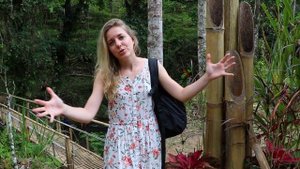 Тур с гидом. Достопримечательности, храмы Бали (Часть 3)