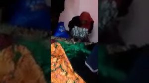 шармандаги зан йакум шабаш нодухтар баромад