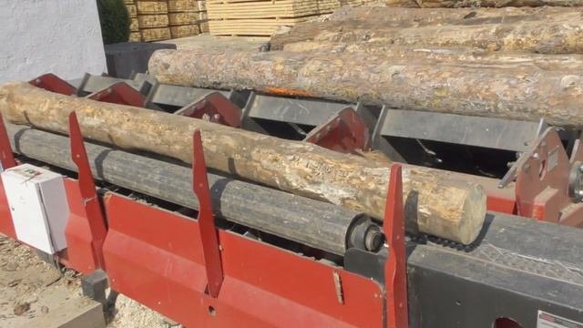 день работников леса 2019 (Смолевичи) смотреть онлайн