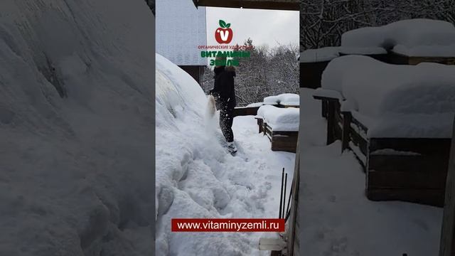 Очистка теплиц от снега