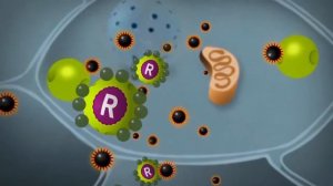 Майнд Мастер (Mind Master) от Компании LR. Как работает этот продукт.