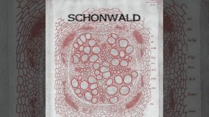 Schonwald - Gemini