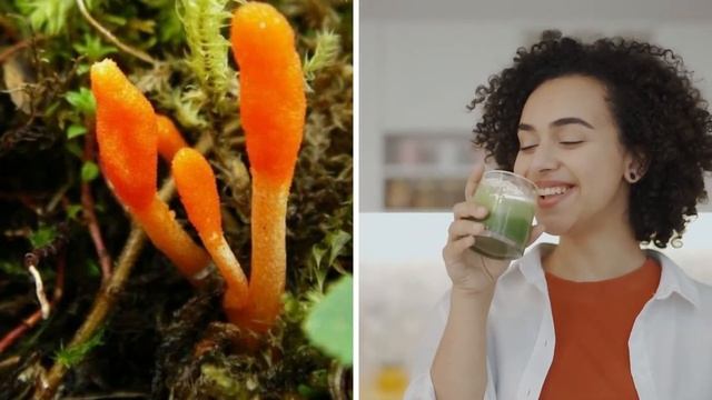 Who And How To Use Cordyceps Militaris