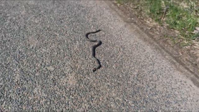 велопоход выходного дня смотреть онлайн
