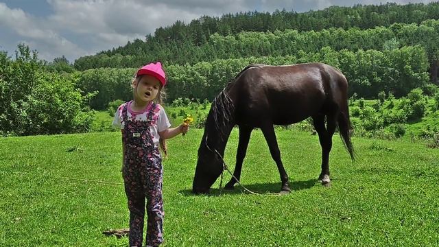 Лошадка.mp4